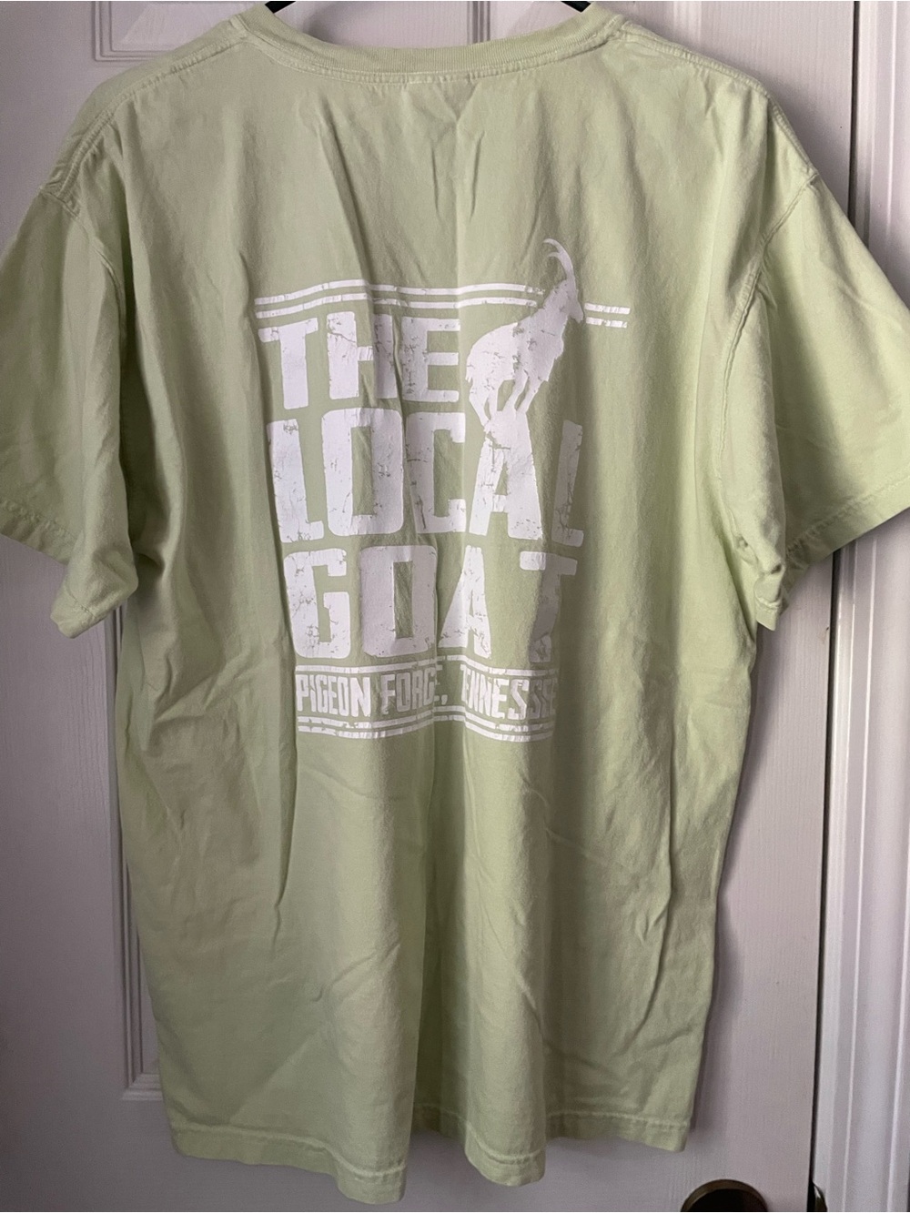 Short Sleeve T-Shirt in Light Green